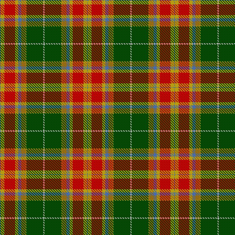 Tartan image: Elystan Glodrydd (Welsh Tribe). Click on this image to see a more detailed version.