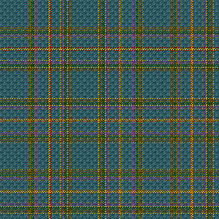 Tartan image: Craven County. Click on this image to see a more detailed version.
