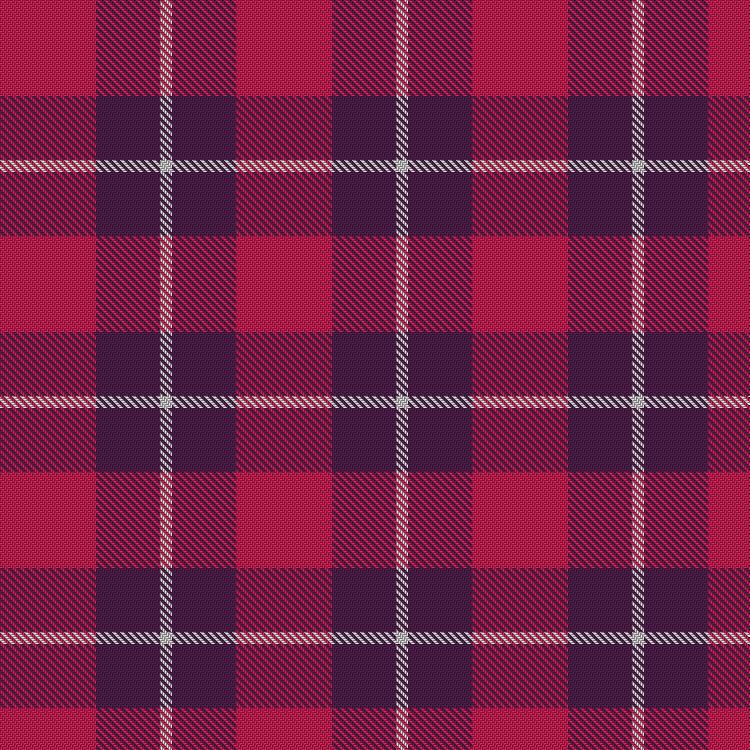 Tartan image: National Autistic Society Scotland. Click on this image to see a more detailed version.