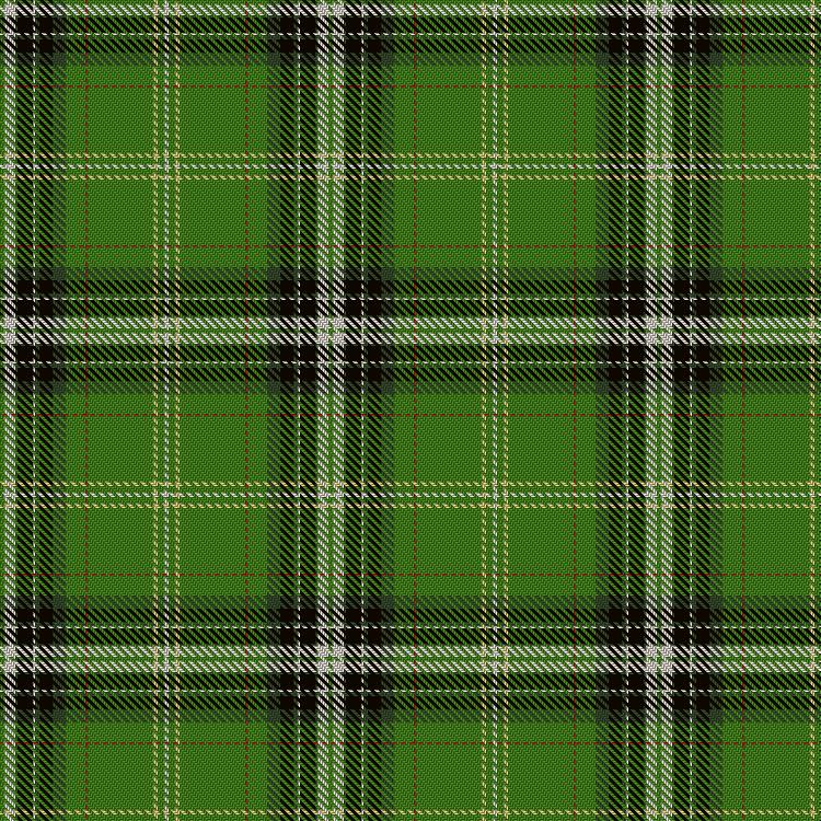 Tartan image: Reilly fae the Mearns. Click on this image to see a more detailed version.
