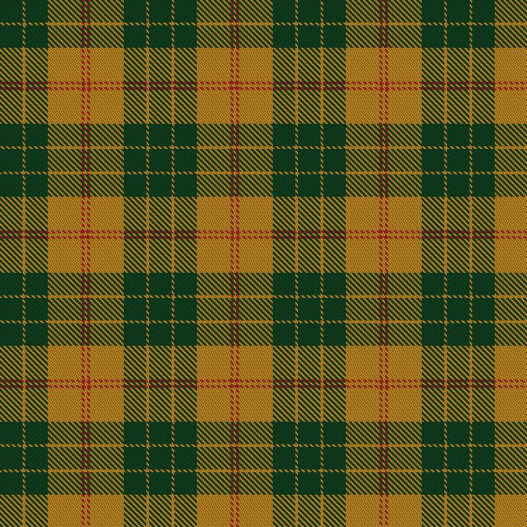 Tartan image: Forget Family (Yonne). Click on this image to see a more detailed version.