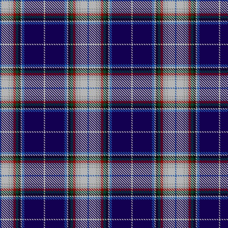 Tartan image: Arctic. Click on this image to see a more detailed version.