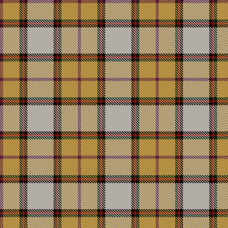 Tartan image: Reekie, Charlene. Click on this image to see a more detailed version.