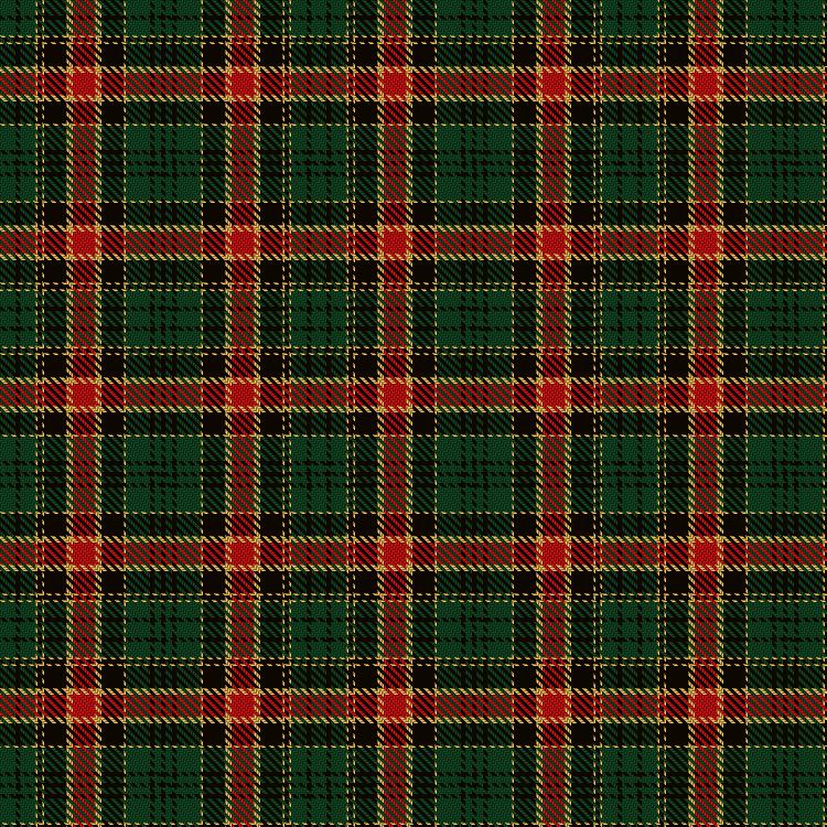 Tartan image: Blackburn Appalachian Hunting. Click on this image to see a more detailed version.