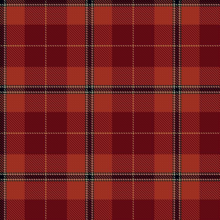 Tartan image: Mason, David Elsworth (Personal). Click on this image to see a more detailed version.