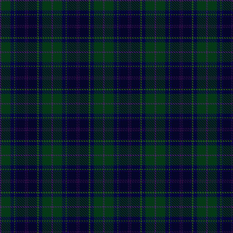 Tartan image: Begg (Scarfskerry). Click on this image to see a more detailed version.