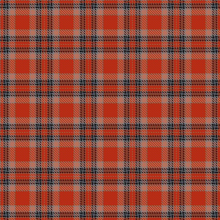 Tartan image: VeMMA. Click on this image to see a more detailed version.