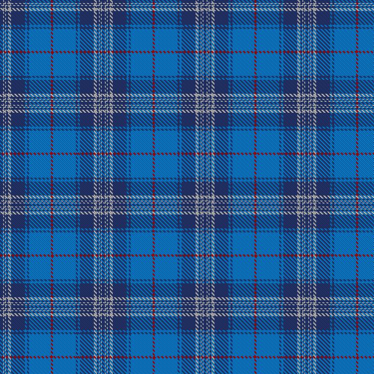 Tartan image: Edinburgh '86. Click on this image to see a more detailed version.
