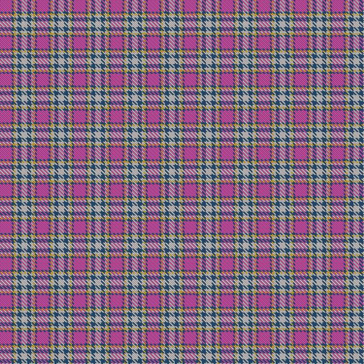 Tartan image: Winnipeg Embroiderers' Guild. Click on this image to see a more detailed version.