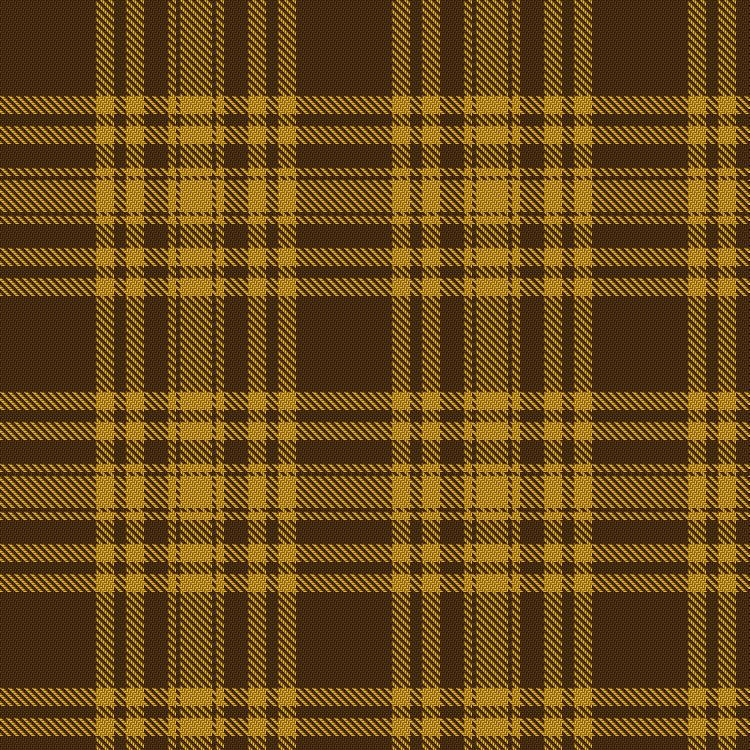 Tartan image: Yellow Pencil. Click on this image to see a more detailed version.