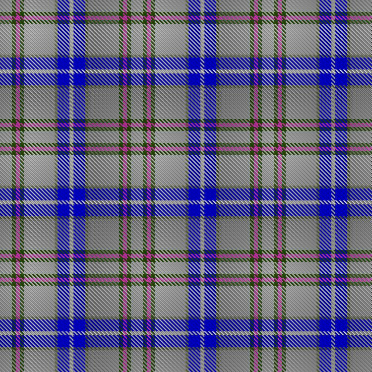 Tartan image: Yes Scotland. Click on this image to see a more detailed version.