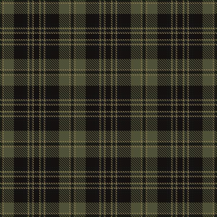 Tartan image: Raznotravie. Click on this image to see a more detailed version.
