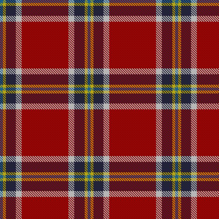 Tartan image: Sildesalaten. Click on this image to see a more detailed version.
