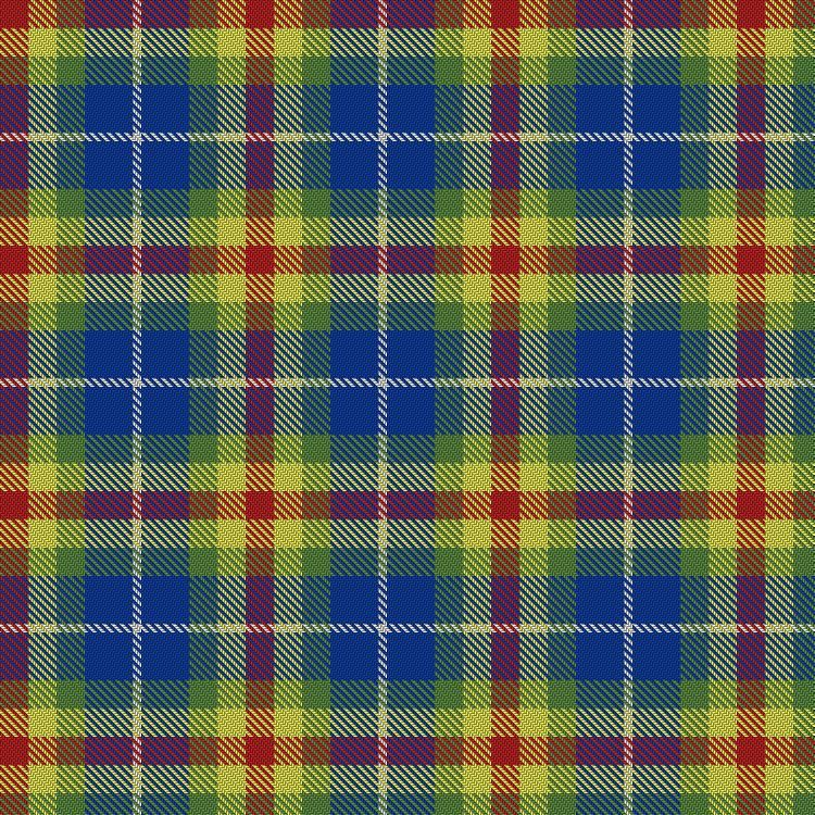 Tartan image: Clan Haggis World (Corporate). Click on this image to see a more detailed version.