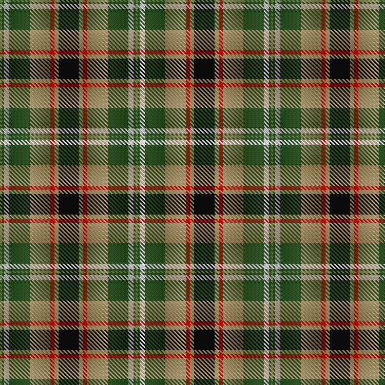 Tartan image: Hackett William (Coatbridge) Hunting (Personal). Click on this image to see a more detailed version.