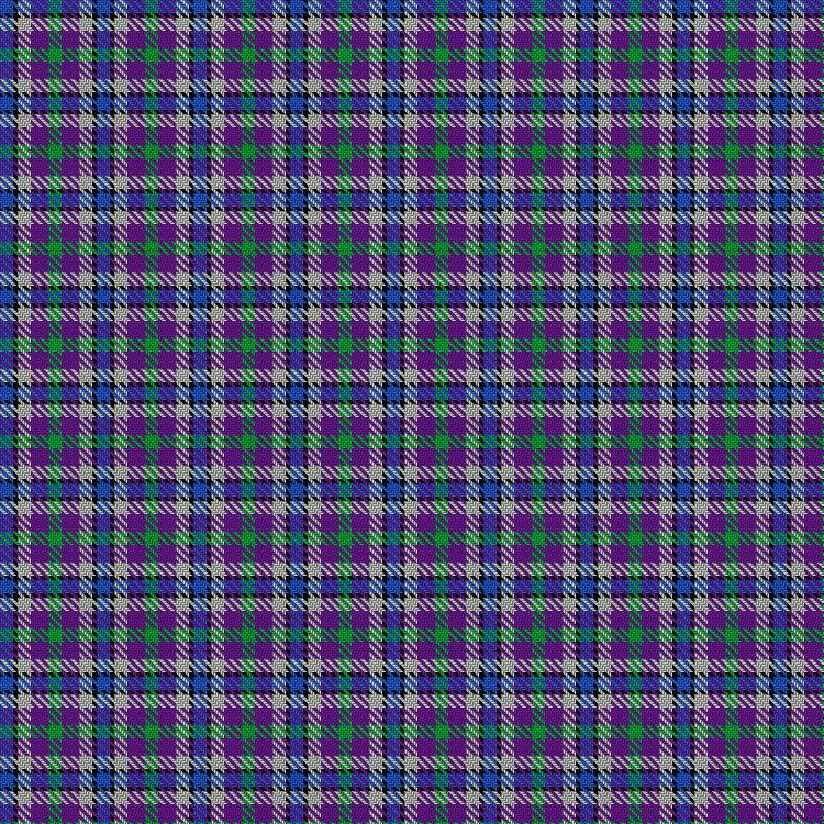 Tartan image: Crinnion (Middlesbrough) (Personal). Click on this image to see a more detailed version.