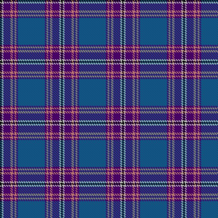 Tartan image: Edinburgh Festival. Click on this image to see a more detailed version.
