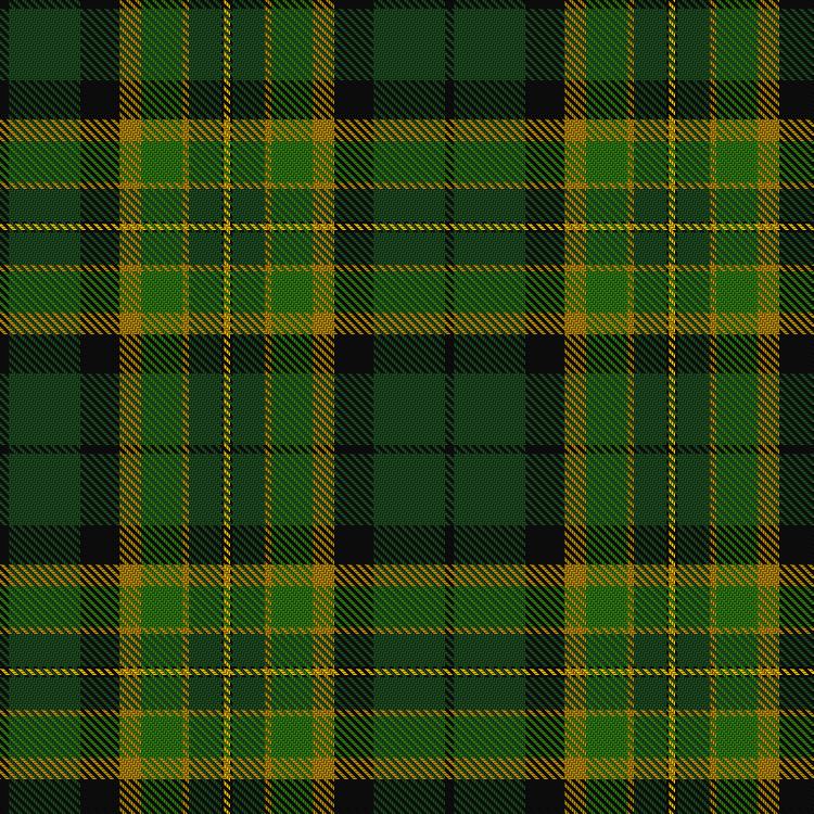 Tartan image: Leinster Ancestry. Click on this image to see a more detailed version.