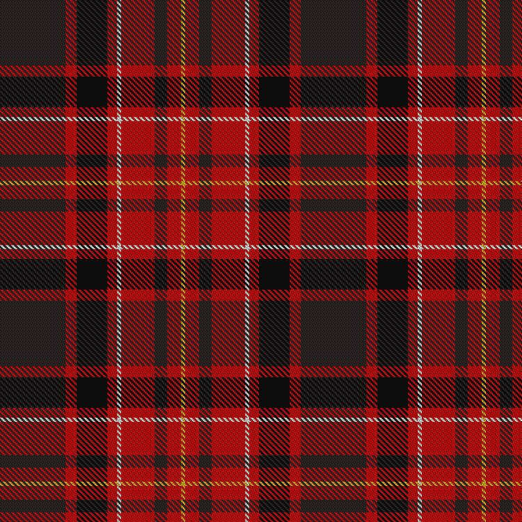 Tartan image: Ulster Ancestry. Click on this image to see a more detailed version.