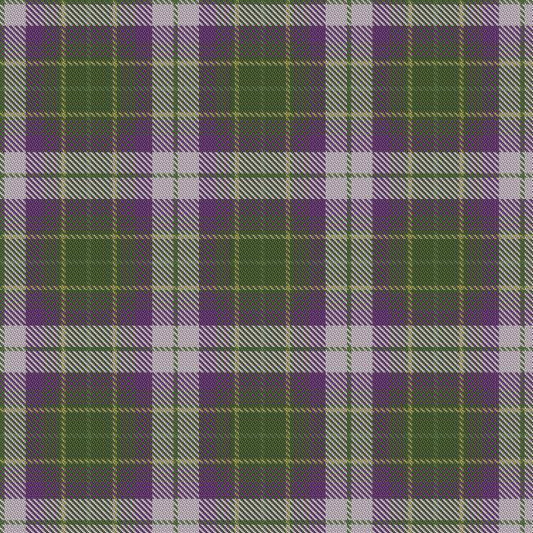Tartan image: Prickly Thistle. Click on this image to see a more detailed version.