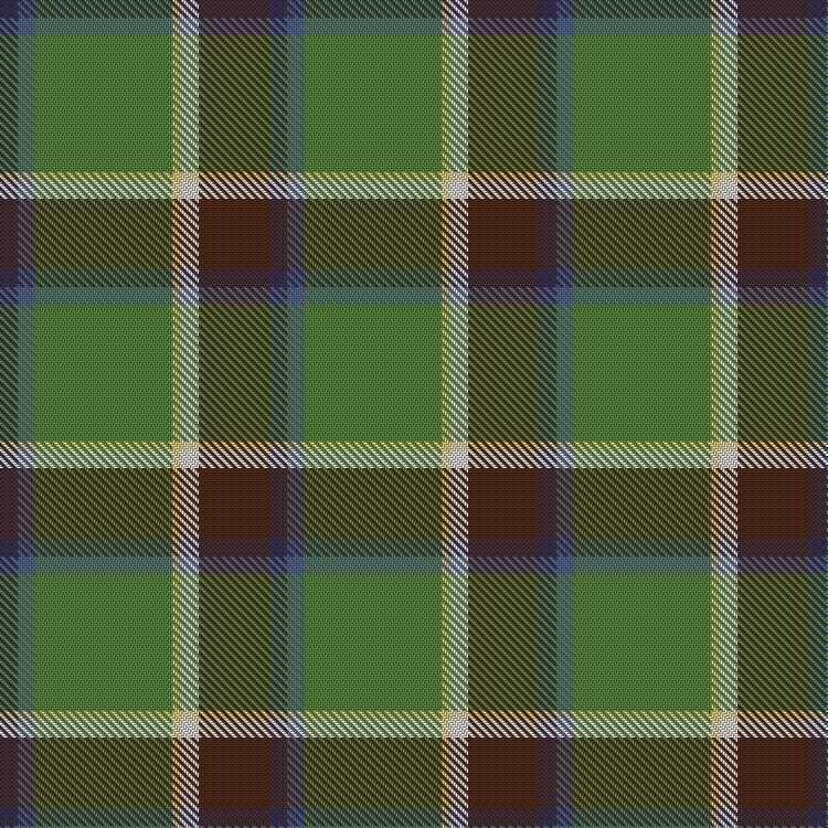 Tartan image: Lethcoe (Thousand Oaks) (Personal). Click on this image to see a more detailed version.