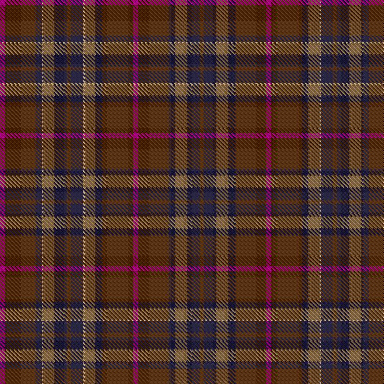 Tartan image: Bronte House Check. Click on this image to see a more detailed version.