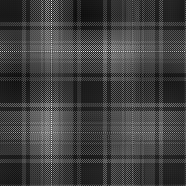Tartan image: Titanium. Click on this image to see a more detailed version.
