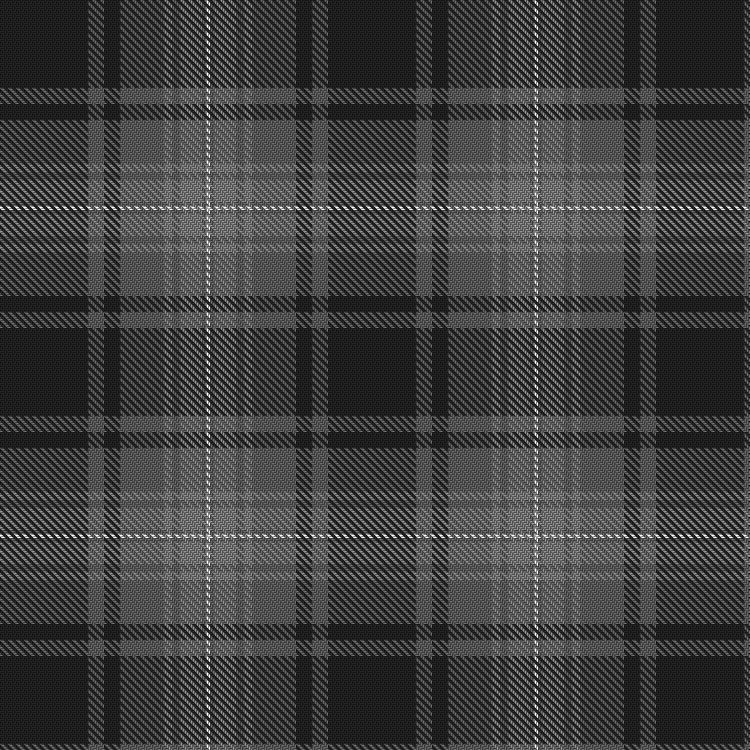 Tartan image: Titanium. Click on this image to see a more detailed version.
