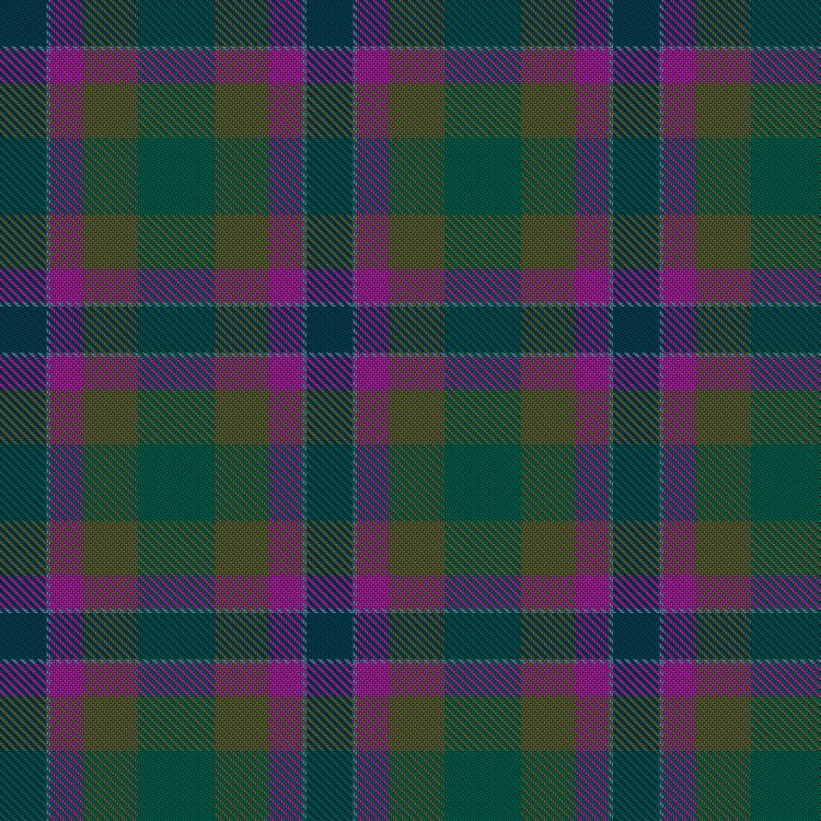 Tartan image: Dunans Rising. Click on this image to see a more detailed version.