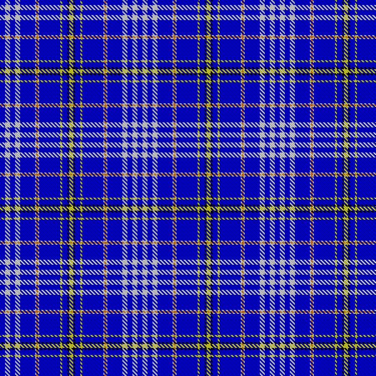 Tartan image: Jouy (La Chapelle Saint Sulpice) (Personal). Click on this image to see a more detailed version.