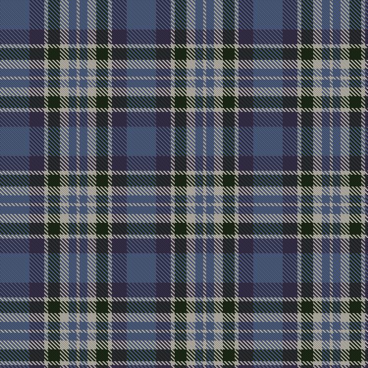 Tartan image: Newall (Dumbarton) (Personal). Click on this image to see a more detailed version.