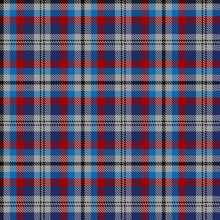 Tartan image: Edinburgh Military Tattoo Dress. Click on this image to see a more detailed version.