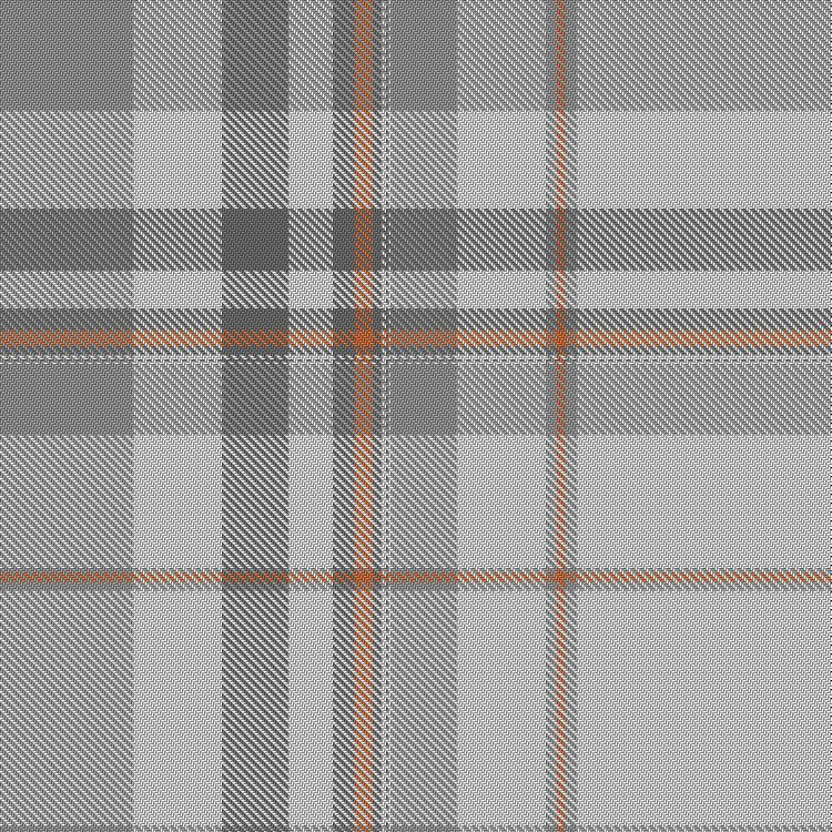 Tartan image: Langara College. Click on this image to see a more detailed version.