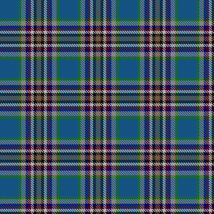 Tartan image: Fremsaeter, Jenny (Personal). Click on this image to see a more detailed version.