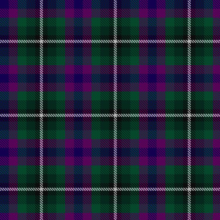 Tartan image: Williams, Edmund (Personal). Click on this image to see a more detailed version.