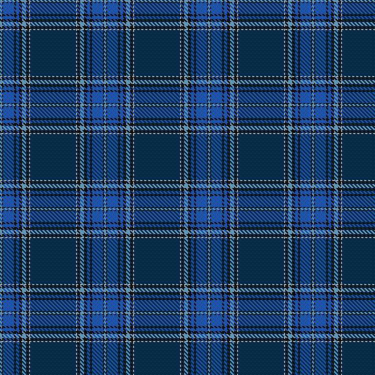 Tartan image: Seacliff Academy. Click on this image to see a more detailed version.