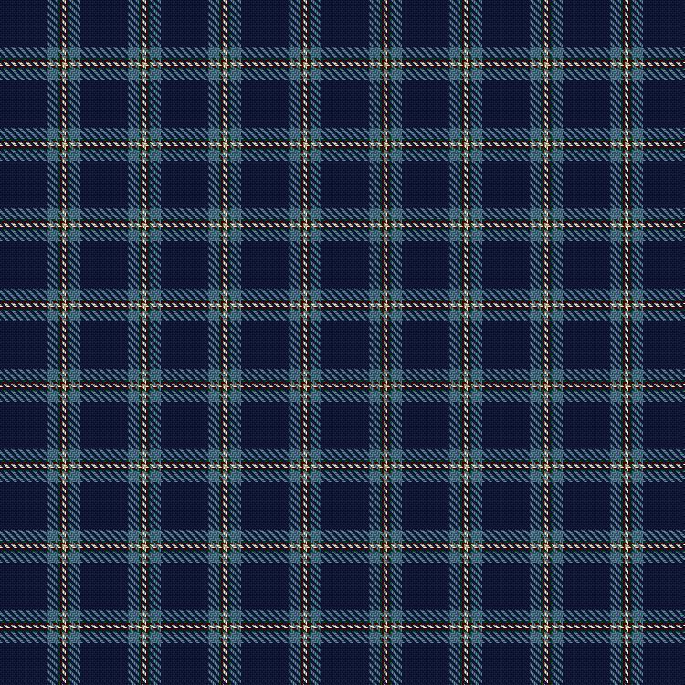 Tartan image: Special Air Service. Click on this image to see a more detailed version.