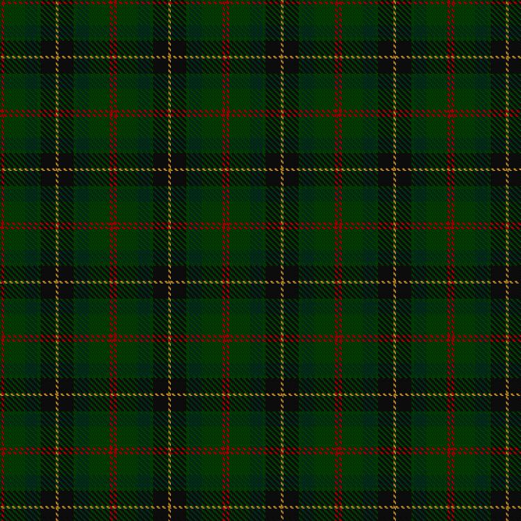Tartan image: MacSween Hunting (Lochs, Isle of Lewis) (Personal). Click on this image to see a more detailed version.