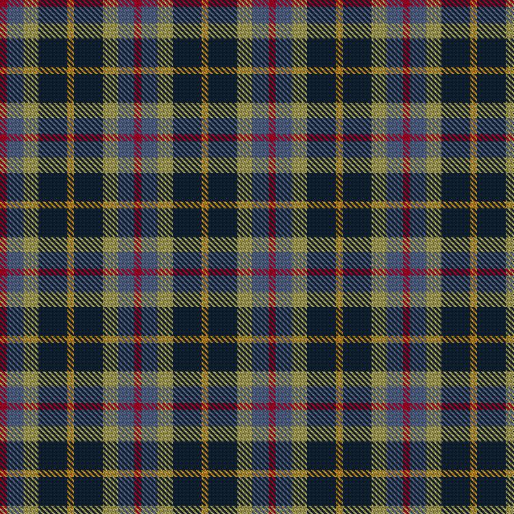 Tartan image: Inspiration. Click on this image to see a more detailed version.