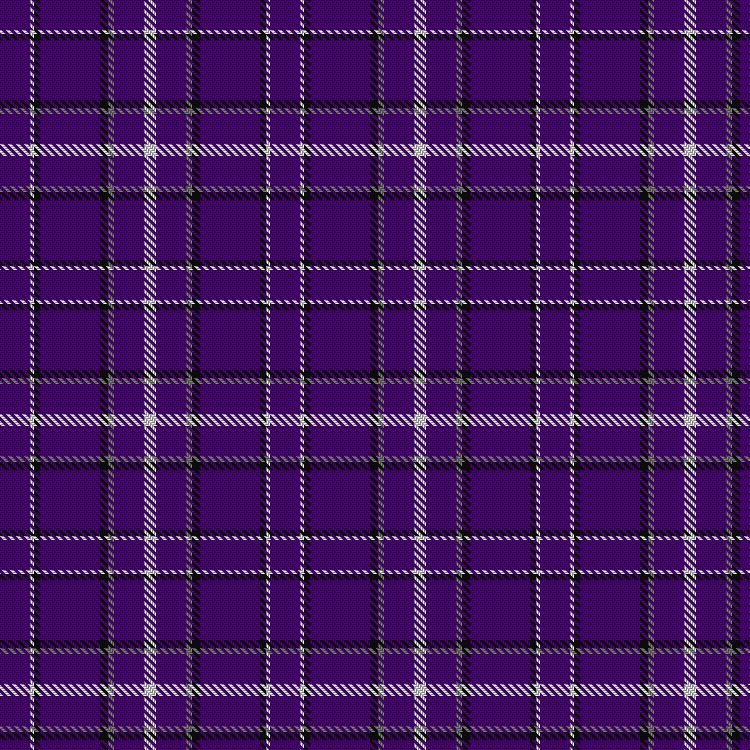 Tartan image: Stephen F Austin State University. Click on this image to see a more detailed version.