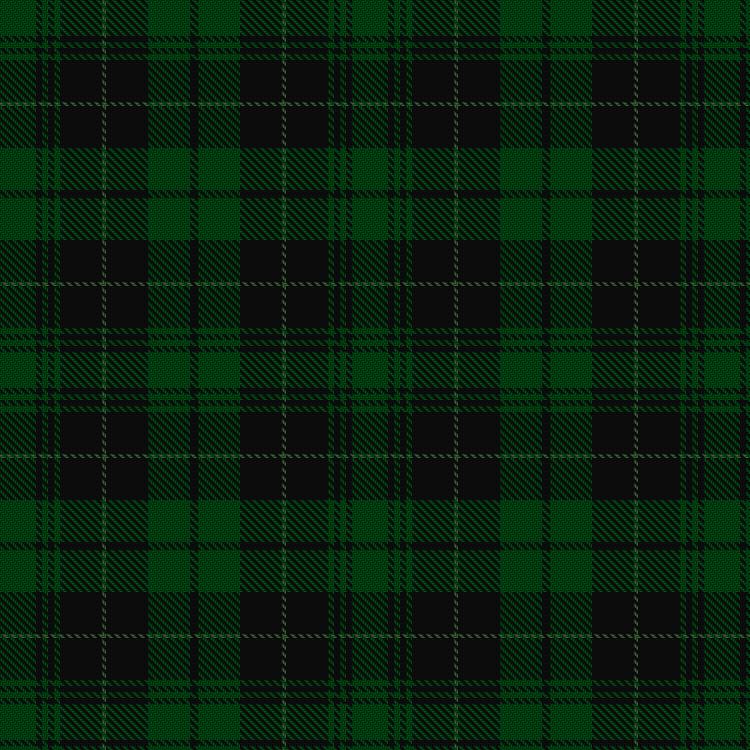 Tartan image: Guildry of Stirling. Click on this image to see a more detailed version.