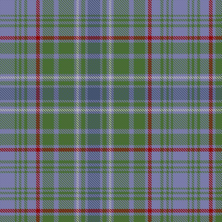 Tartan image: Shedor (2013). Click on this image to see a more detailed version.