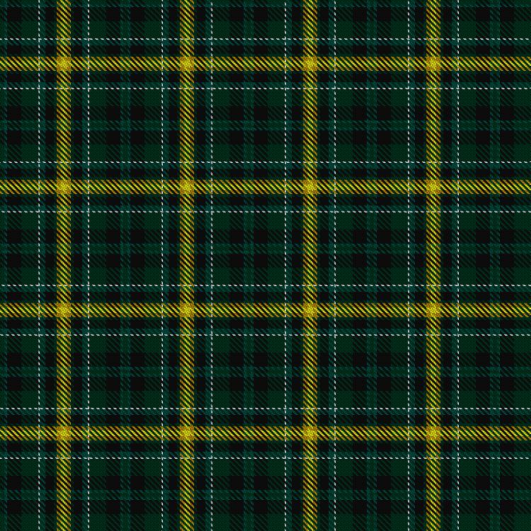 Tartan image: Noble (South Africa) (Personal). Click on this image to see a more detailed version.