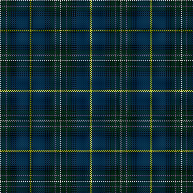 Tartan image: Alexander-Johnstone (Personal). Click on this image to see a more detailed version.