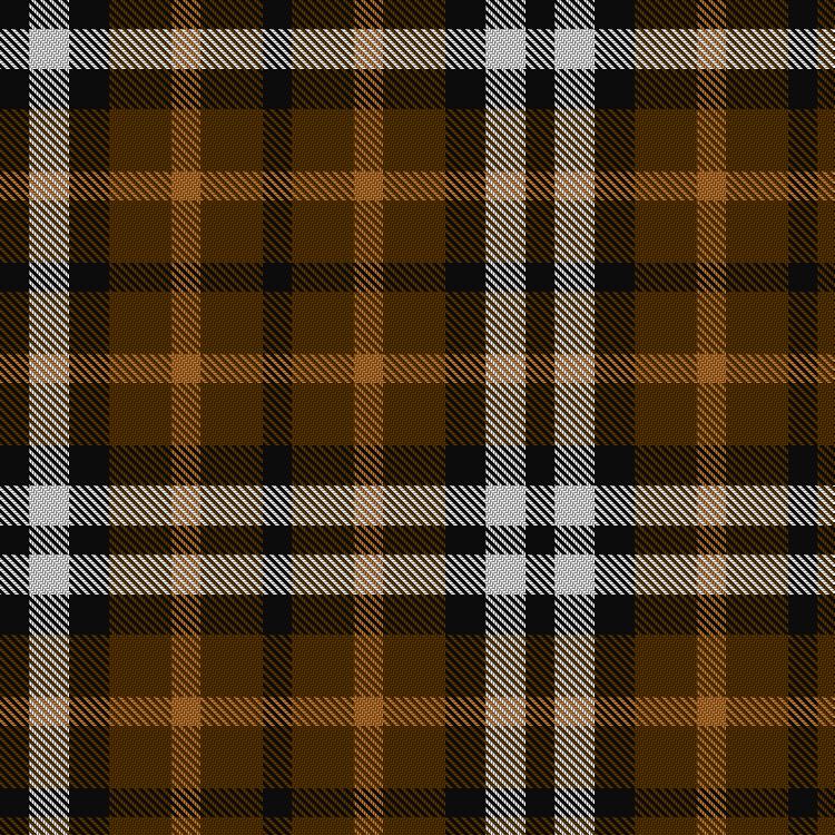 Tartan image: Boxer Beauty. Click on this image to see a more detailed version.