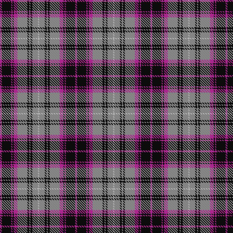 Tartan image: Lunch with an Old Bag (Fundraising Committee). Click on this image to see a more detailed version.