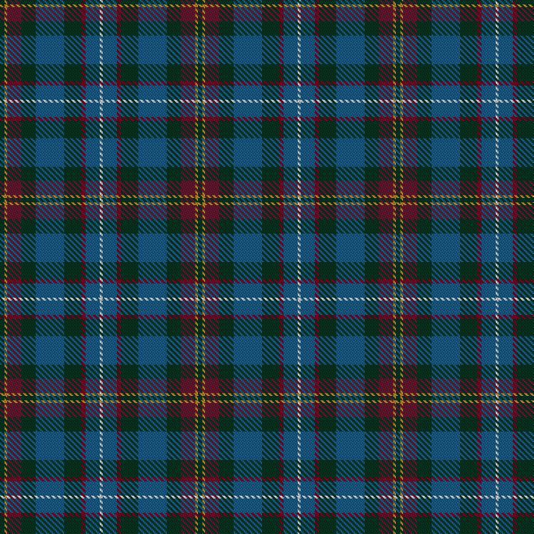 Tartan image: Patel (2013). Click on this image to see a more detailed version.