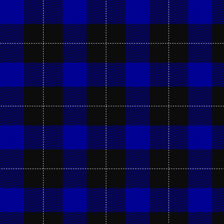 Tartan image: Shirra (2013). Click on this image to see a more detailed version.