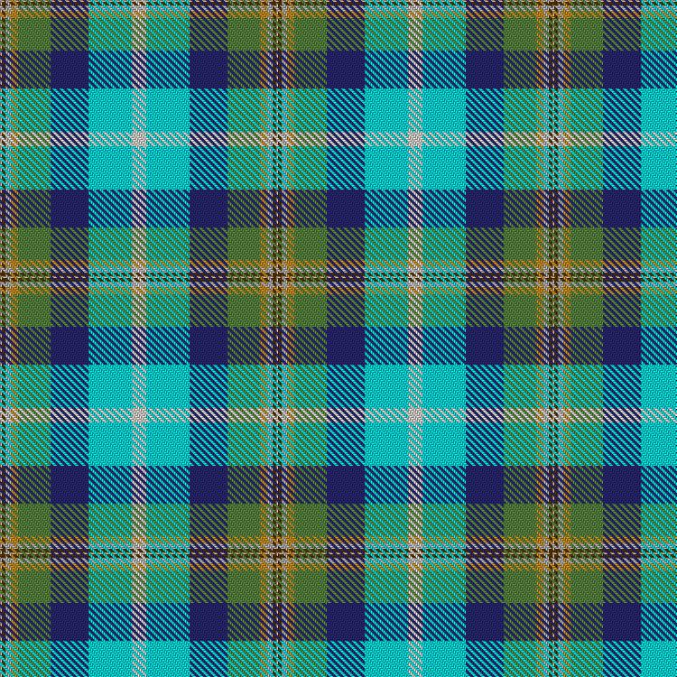 Tartan image: Philpotts, Brian. Click on this image to see a more detailed version.
