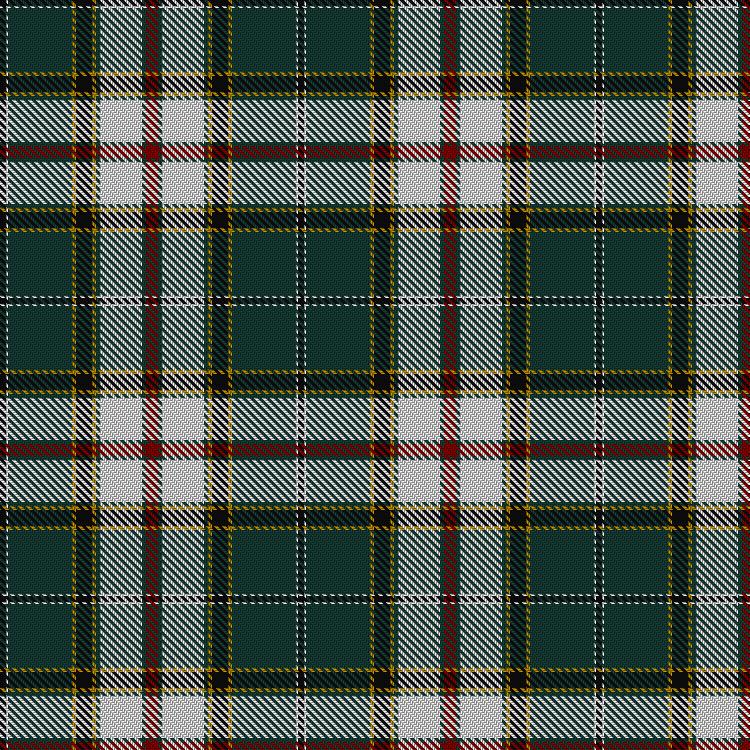 Tartan image: Fiander, Julian (Personal). Click on this image to see a more detailed version.